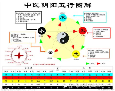 五行相生剋|五行相生相剋說明